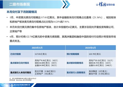中资美元债市场信息月报（2023年5月） 一级市场发行继续低迷，二级市场表现保持分化