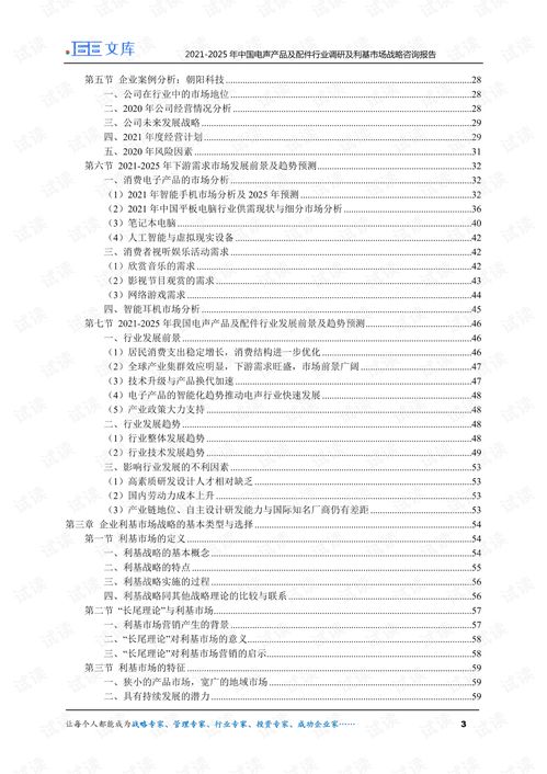 中国电声产品及配件行业调研与利基市场战略（2021-2025年）